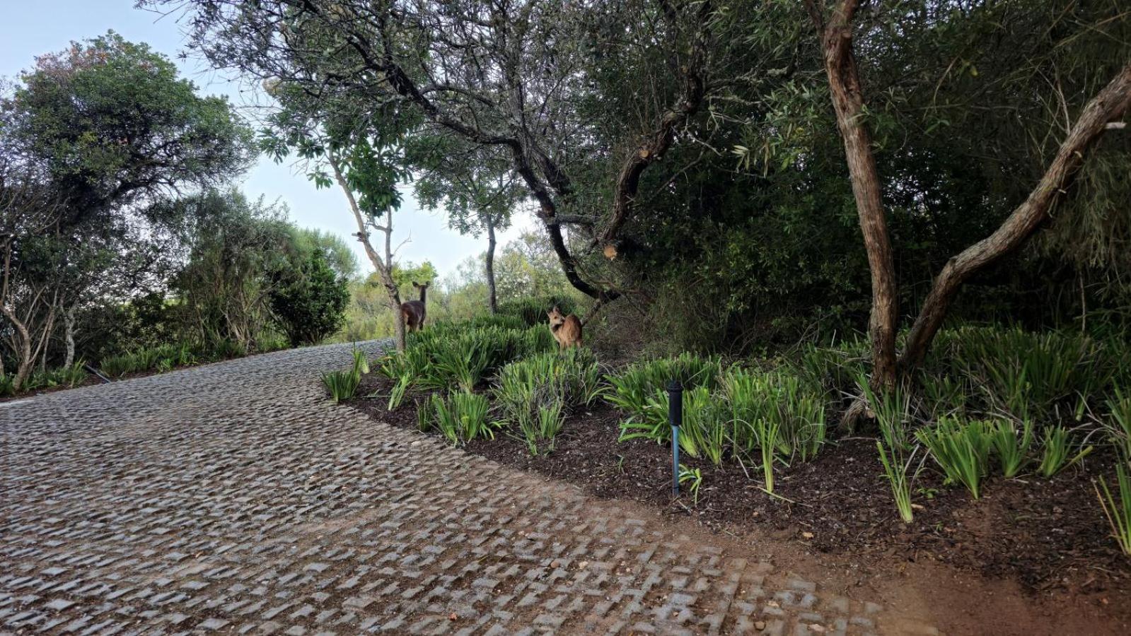 Oubaai Villa By Raw Africa Collection Herolds Bay Exteriör bild